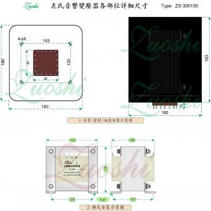 ZS-300100  300W高压通用推挽牛