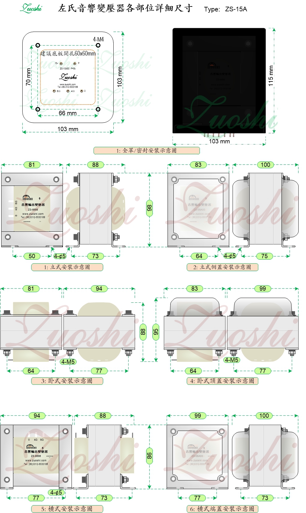 ZS-15A25 15W通用单端输出牛